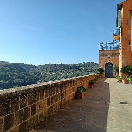 La Civetta - Casa Vacanze Orte Eksteriør bilde